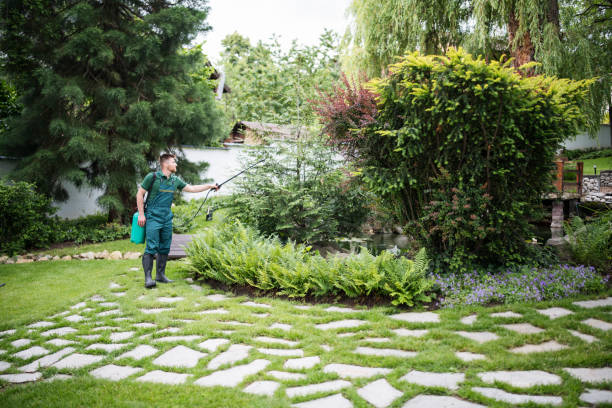 Best Affordable Pest Control Services  in Cherry Hill Mall, NJ