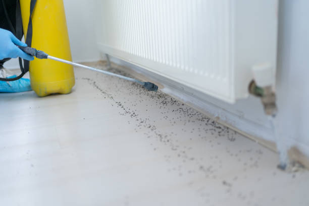 Best Mosquito Control Services  in Cherry Hill Mall, NJ