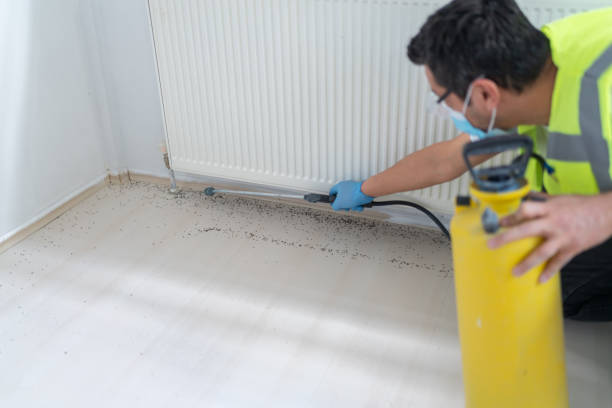 Best Pest Removal Services  in Cherry Hill Mall, NJ